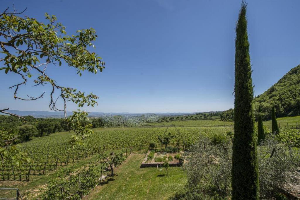 Bed and Breakfast Abbadia Wine Relais Montefollonico Exteriér fotografie