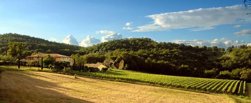 Bed and Breakfast Abbadia Wine Relais Montefollonico Exteriér fotografie