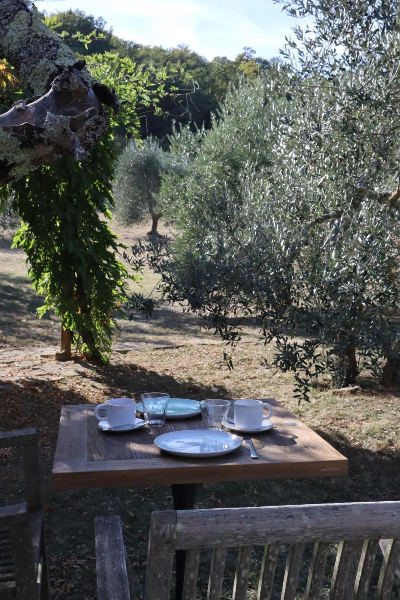 Bed and Breakfast Abbadia Wine Relais Montefollonico Exteriér fotografie