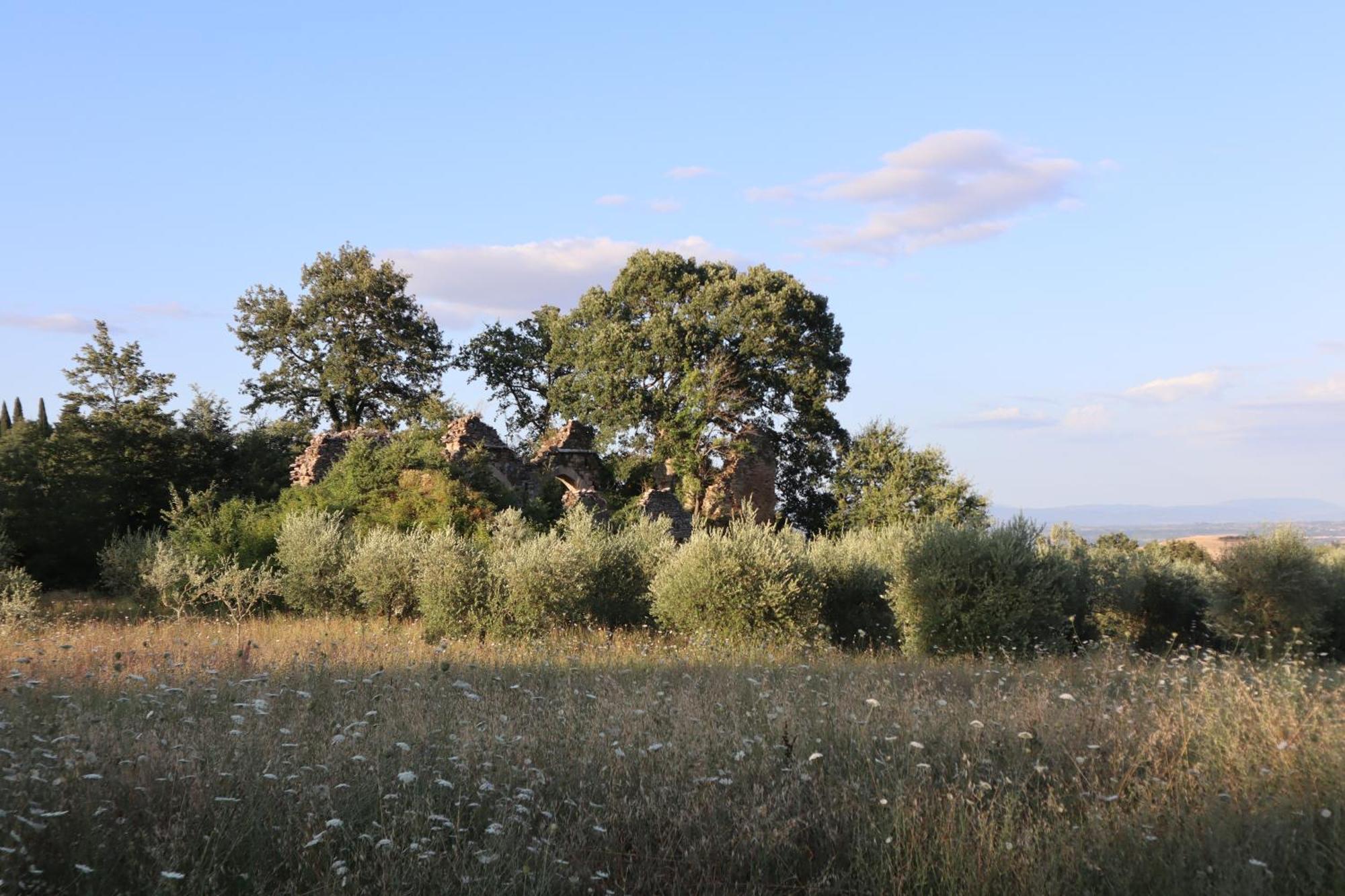 Bed and Breakfast Abbadia Wine Relais Montefollonico Exteriér fotografie